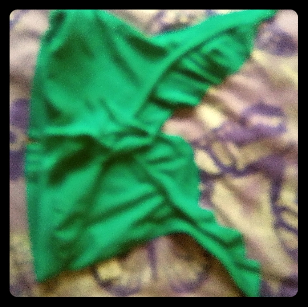 Green bathing suit top